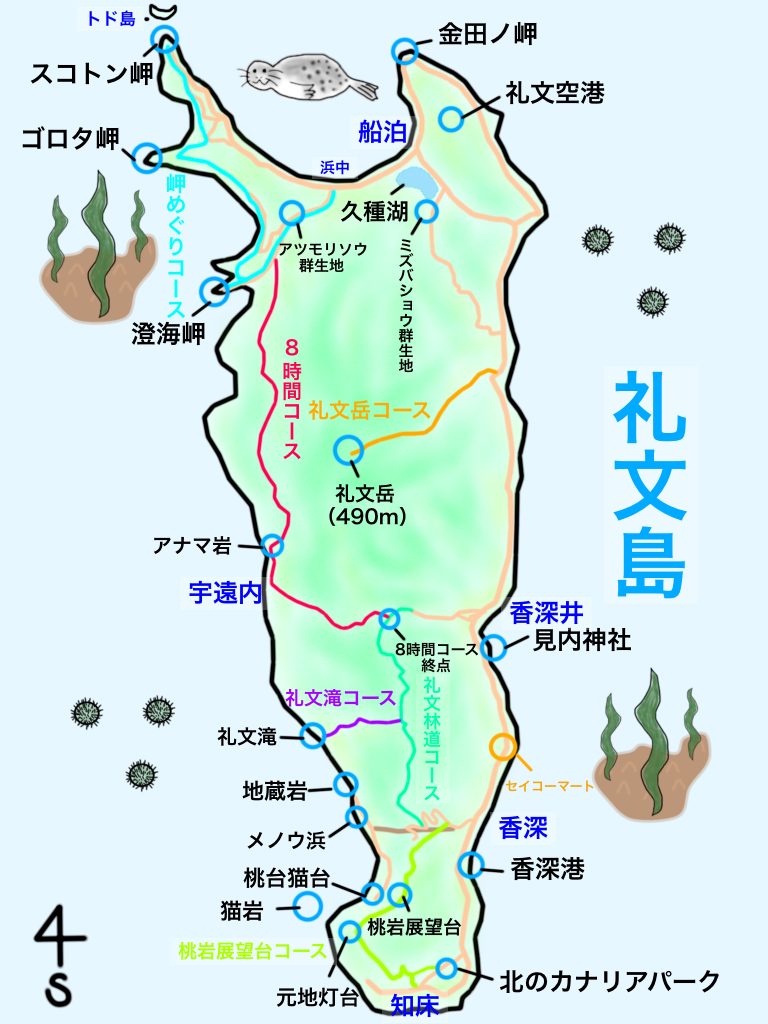 礼文島案内地図